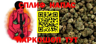 spice Краснознаменск