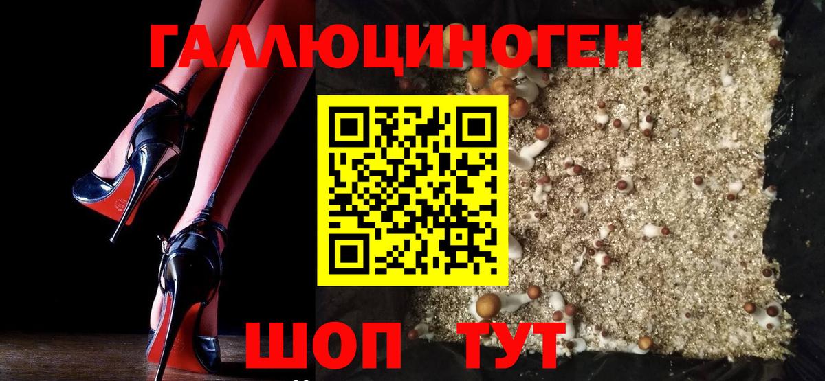 Галлюциногенные грибы GOLDEN TEACHER  Псилоцибиновые грибы MAGIC MUSHROOMS  Камышин  Вход с VPN 