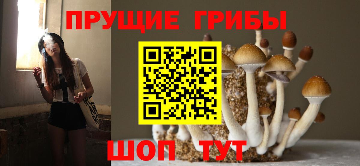 Галлюциногенные грибы Magic Shrooms Камышин